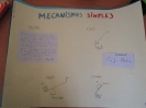 MECANISMOS MURALES 2014-15_3
